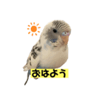 めいandキキ（個別スタンプ：2）