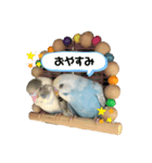 めいandキキ（個別スタンプ：3）