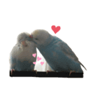 めいandキキ（個別スタンプ：6）