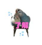 めいandキキ（個別スタンプ：8）
