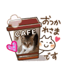 ムギにょんファミリー（個別スタンプ：8）