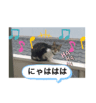 ムギにょんファミリー（個別スタンプ：9）