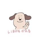 毎日使えるわんこ（個別スタンプ：31）