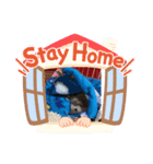 いがぐり銀之助＆てんちゃん（個別スタンプ：3）