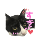 のーちんの1日（個別スタンプ：2）
