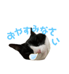 のーちんの1日（個別スタンプ：5）