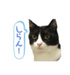 のーちんの1日（個別スタンプ：6）