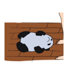 パンダのいる生活（個別スタンプ：6）