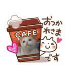 白猫しらす（個別スタンプ：5）
