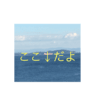 さしみくんスタンプ1（個別スタンプ：8）