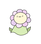 てるくま＆てる花さん（個別スタンプ：30）