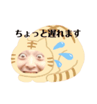 アリゴ座オールスタースタンプVol.2（個別スタンプ：36）