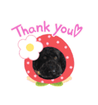 黒ミディプーの豆太くん②（個別スタンプ：1）