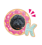 黒ミディプーの豆太くん②（個別スタンプ：5）