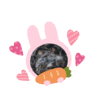 黒ミディプーの豆太くん②（個別スタンプ：12）