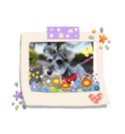 Mシュナ Coo＆coco（個別スタンプ：7）