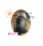 夢猫5（個別スタンプ：1）