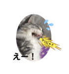 夢猫5（個別スタンプ：8）
