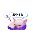 蘭丸くん①日常的使える編（個別スタンプ：7）