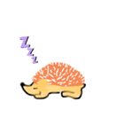 ハリネズミと一緒（個別スタンプ：13）