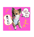 haruhimelove（個別スタンプ：6）
