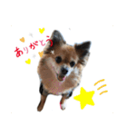 haruhimelove（個別スタンプ：8）