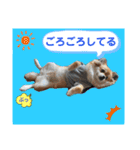 haruhimelove（個別スタンプ：9）