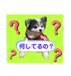 haruhimelove（個別スタンプ：10）
