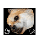 haruhimelove（個別スタンプ：11）