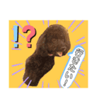 haruhimelove（個別スタンプ：15）