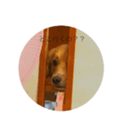 りっぷとかーる (お出かけ編)（個別スタンプ：1）