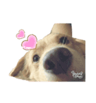りっぷとかーる (お出かけ編)（個別スタンプ：3）