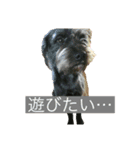 りっぷとかーる (お出かけ編)（個別スタンプ：6）