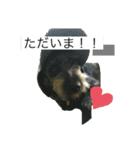 りっぷとかーる (お出かけ編)（個別スタンプ：7）