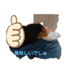 k--（個別スタンプ：1）