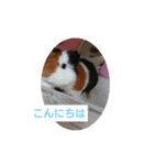 k--（個別スタンプ：3）