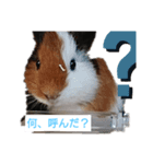 k--（個別スタンプ：4）