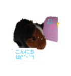 k--（個別スタンプ：8）