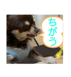ちくわぶくんスタンプ❷（個別スタンプ：13）