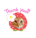 大好きにゃんこ（個別スタンプ：3）