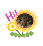 大好きにゃんこ（個別スタンプ：6）