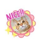 大好きにゃんこ（個別スタンプ：16）