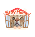 大好きにゃんこ（個別スタンプ：24）