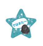 ペキニーズ  キラキラ スタンプ（個別スタンプ：6）
