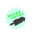 ペキニーズ  キラキラ スタンプ（個別スタンプ：14）