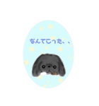 ペキニーズ  キラキラ スタンプ（個別スタンプ：16）