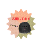 ペキニーズ  キラキラ スタンプ（個別スタンプ：25）