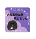 ペキニーズ  キラキラ スタンプ（個別スタンプ：26）