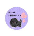 ペキニーズ  キラキラ スタンプ（個別スタンプ：37）