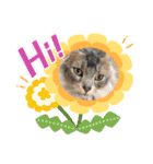 アンリコリン 2（個別スタンプ：7）